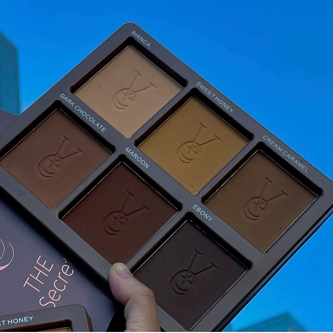 Vee Beauty 6in1 Powder Palette