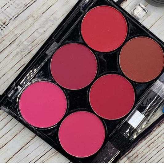 6in1 Blush Palette