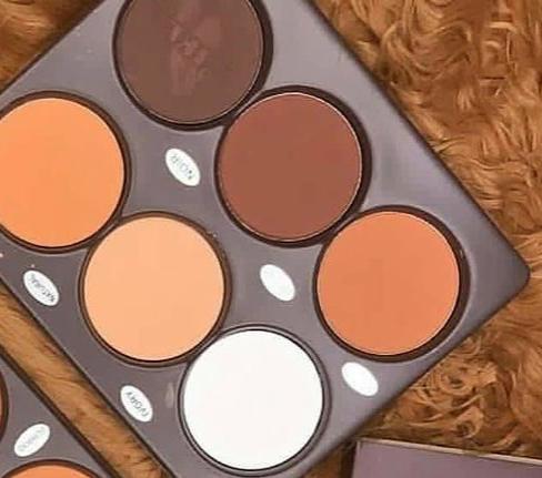 ZIKEL 6IN1 POWDER PALETTE